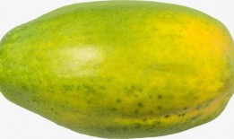 吃瓜素材绿幕下载免费版,轻松打造吃瓜视频新体验