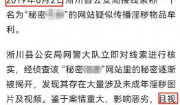 聊天记录视频爆料软件,视频爆料软件背后的真相曝光