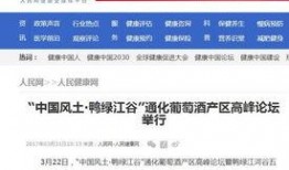 武汉网红爆料新闻报道,揭秘城市新地标背后的故事