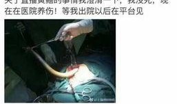 黄鳝主播在线观看,观众热情高涨