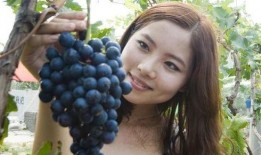 网红吃葡萄瓜是真的吗知乎,真相揭秘还是炒作？