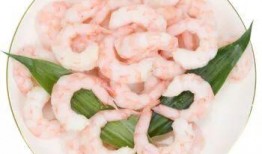 冷冻虾仁爆料视频讲解下载,视频爆料背后的真相与下载方法