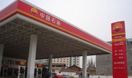 郑州爆料加油站视频大全,揭秘油站内幕与奇闻轶事
