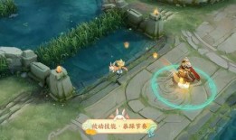 发哥王者爆料视频大全,揭秘视频大全背后的精彩瞬间