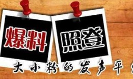 新闻大爆料粒子,新闻大爆料带你探索微观世界的奇迹