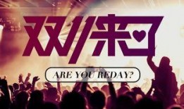 青岛饭店爆料事件视频,事件真相与公众关注