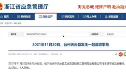 新闻事故爆料网站有哪些,追踪真相的数字哨兵