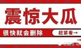 娱乐圈吃瓜合集文件,揭秘明星幕后故事与精彩瞬间