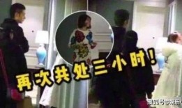 经纪人爆料小视频大全,小视频大全幕后真相大揭秘