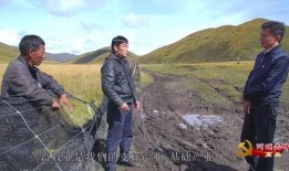 围场二中爆料事件真相视频,还原背后真相