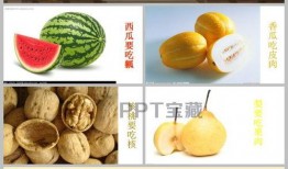 猴子吃瓜ppt模板免费,揭秘热带雨林中的趣味生态故事