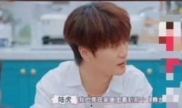 陆虎苏醒爆料视频,娱乐圈背后的惊人真相