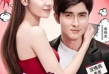 傲娇与偏见在线观看1,浪漫喜剧的甜蜜邂逅