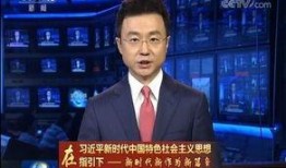 德州新闻采访爆料视频大全,揭秘采访视频大全背后的真相与故事