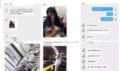 偷拍独家爆料视频网站,揭秘网络偷拍视频网站的黑暗面