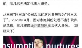 蒋凡张大奕最新爆料小说,揭秘背后真相与情感纠葛