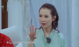 蔡少芬爆料老公视频,家庭风波背后真相揭晓