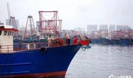 爆料渔船视频播放大全,海量视频全景呈现海上捕捞瞬间