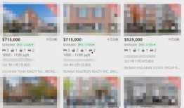 多伦多最新爆料,揭秘城市热点事件背后的真相