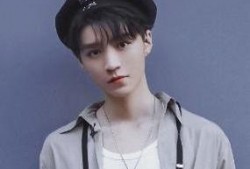 最新爆料王俊凯事件真相,真相背后的惊人内幕