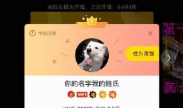 YY最新八卦爆料