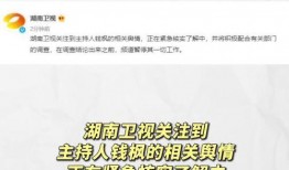 吃瓜娱乐群,揭秘娱乐圈背后的故事与八卦