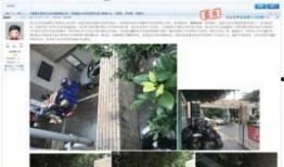 深圳网民最新爆料,最新爆料引发热议！