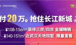 武汉网红爆料新闻报道,揭秘城市新地标背后的故事