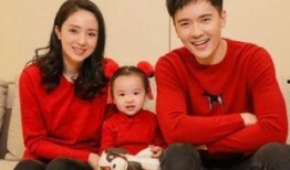 演员妻子爆料事件视频播放,真相背后有何隐情？