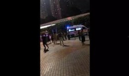 深圳女士爆料小孩视频,小孩视频引发社会关注