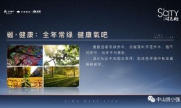 莲花楼定档最新爆料,神秘角色曝光，江湖风云再起！