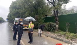 太仓浮桥镇爆料新闻报道,最新爆料揭示惊人真相