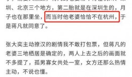 蒋凡张大奕最新爆料小说,揭秘背后真相与情感纠葛