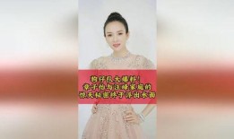 狗仔爆料章子怡视频,狗仔爆料引发热议