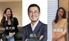 蒋凡张大奕最新爆料小说,揭秘背后真相与情感纠葛