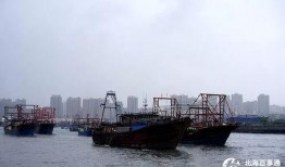 爆料渔船视频播放大全,海量视频全景呈现海上捕捞瞬间