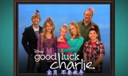 查理的成长日记在线观看,青春岁月的蜕变之旅