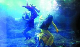 海底世界cf最新爆料