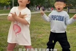 开心妈妈被爆料视频,揭秘明星育儿日常