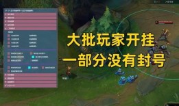 发哥王者爆料视频大全,揭秘视频大全背后的精彩瞬间