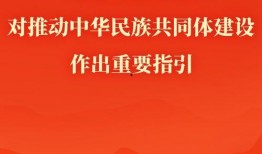 新闻共同体爆料怎么写内容,揭秘事件背后真相
