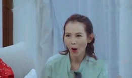 蔡少芬爆料老公视频,家庭风波背后真相揭晓