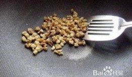 蛋仔配饰爆料怎么做的视频,轻松打造吸睛配饰教程