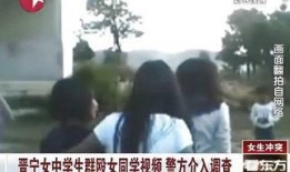 高中生失踪爆料视频大全,视频大全背后的真相与警示