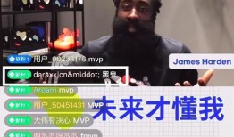 哈登爆料王猛视频播放在线观看,王猛视频独家爆料，精彩内容在线观看