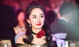 娱乐圈的明星爆料有哪些,揭秘幕后真相与情感纠葛
