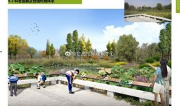 安徽公园爆料视频最新