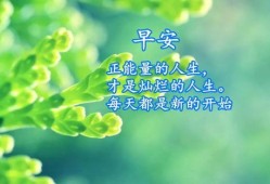 早安最新爆料,揭秘娱乐圈最新热点事件