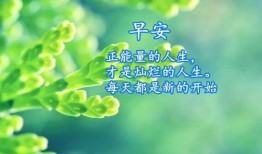 早安最新爆料,揭秘娱乐圈最新热点事件