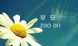 早安最新爆料,揭秘娱乐圈最新热点事件